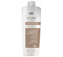 Шампунь-эликсир для восстановления и придания сияющего блеска / Elixir Care Shampoo 1000 мл
